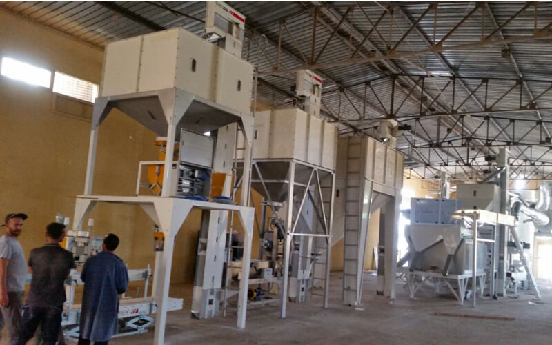 Turnkey Seed Processing Plant 5 tph output El Attaf, Algeria